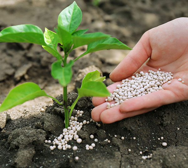 Fertilizers and Bagged Goods