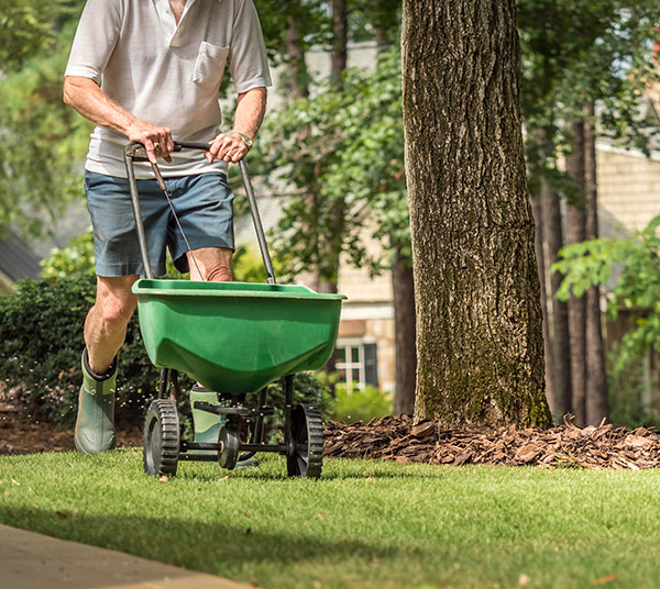 Spreaders, Wheelbarrows, and Accessories