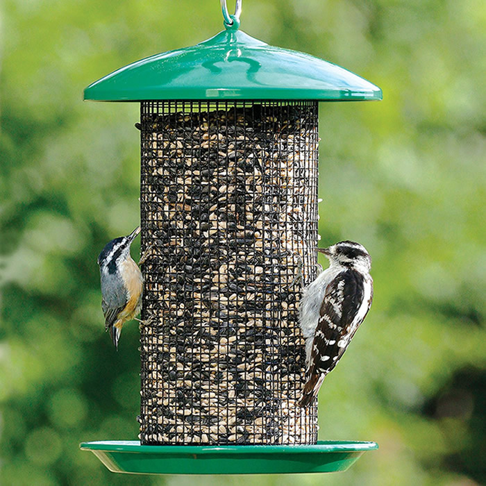 Bird Seed, Feeders, and Houses